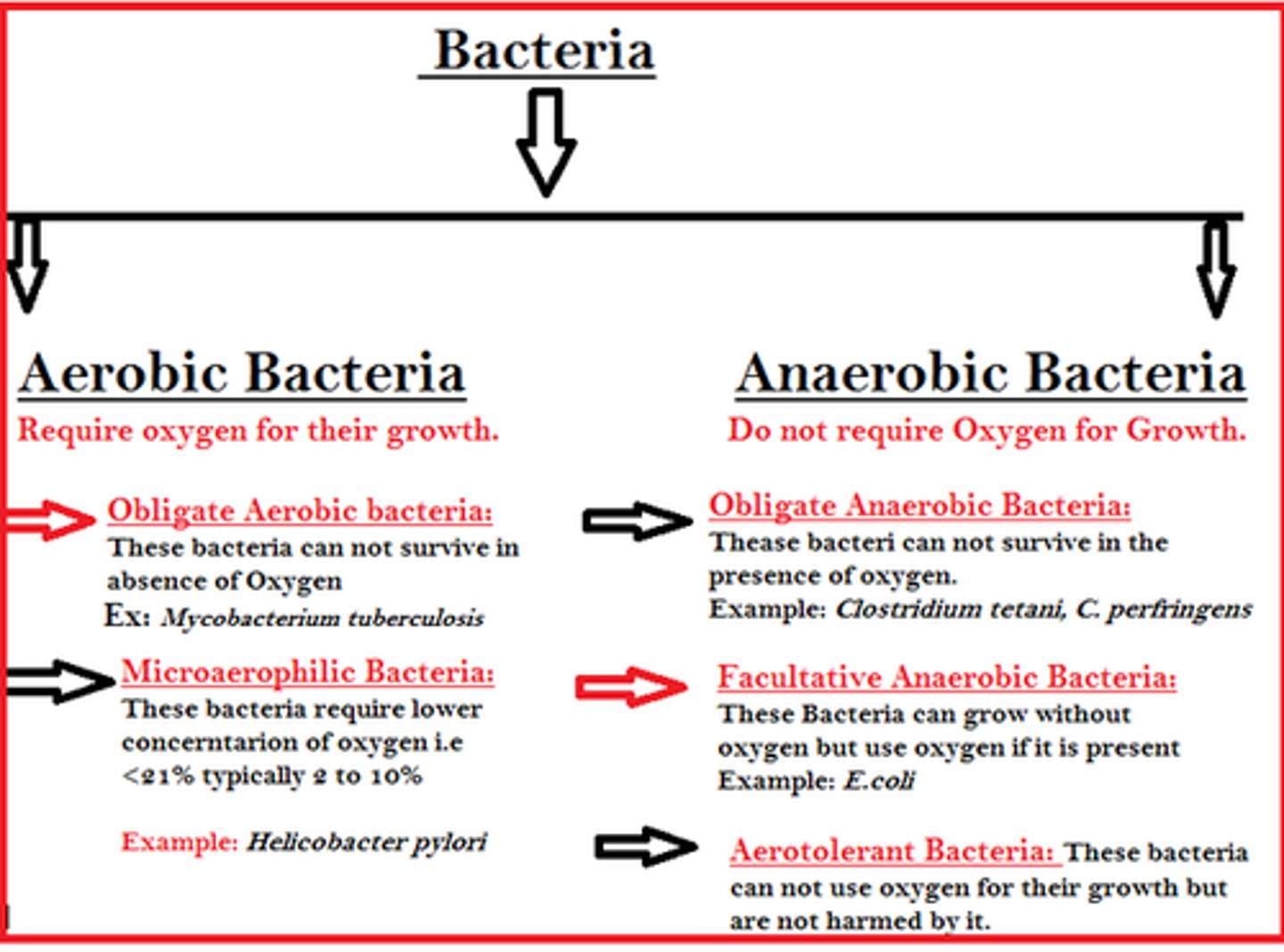 <p>Obligate Aerobes absolutely require oxygen for their metabolism to function normally.</p><p>Facultative Anaerobes will use Oxygen if it is present, but can switch to an anaerobic metabolism if there is no oxygen.</p>