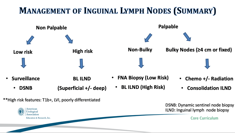 <p>Non Bulky: </p><ul><li><p>low risk: FNA biopsy</p></li><li><p>High risk: B/L lymph node dissection </p></li></ul><p></p><p>Bulky:</p><p>-Chemo/radiation vs. consolidation ILND</p><p></p>