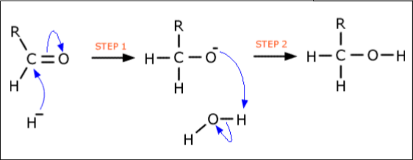 <ul><li><p>First is hydride ion</p></li><li><p>Second is hydrogen from the solvent</p></li></ul><p></p>