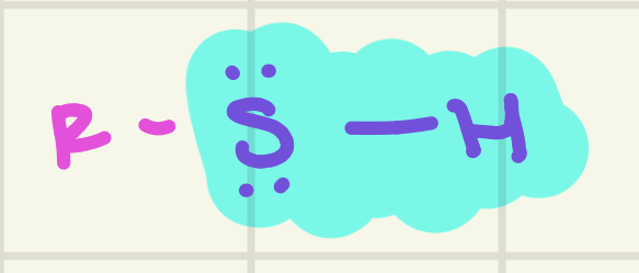 <p>identify this functional group</p>