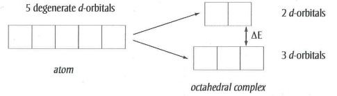 <p>The d-orbitals split into two sets- 3 lower energy and 2 higher energy orbitals.</p>