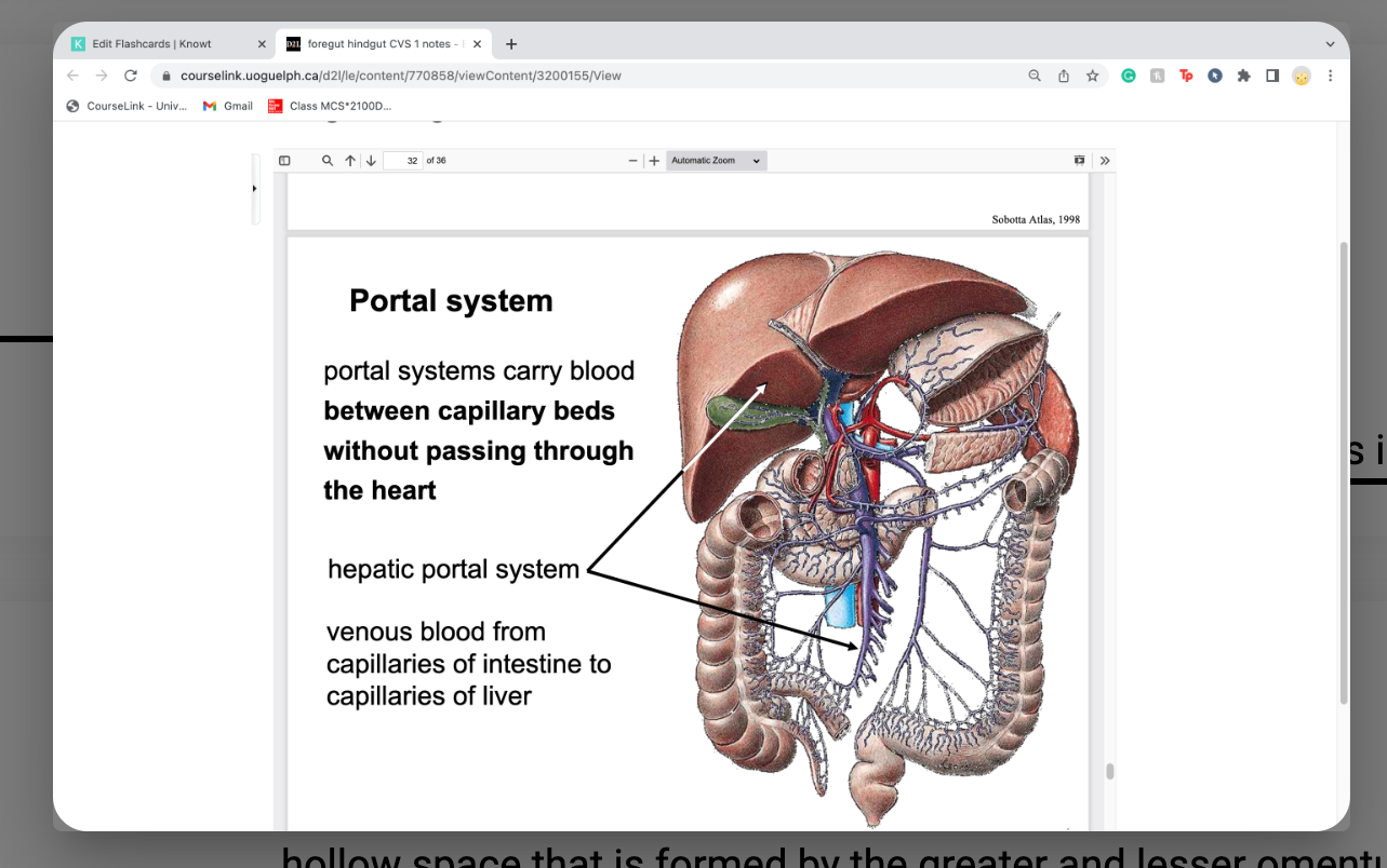 portal systems carry blood between capillary beds
without passing through the heart

-hepatic - capillary bed in digestive system to capillary beds in liver itself 