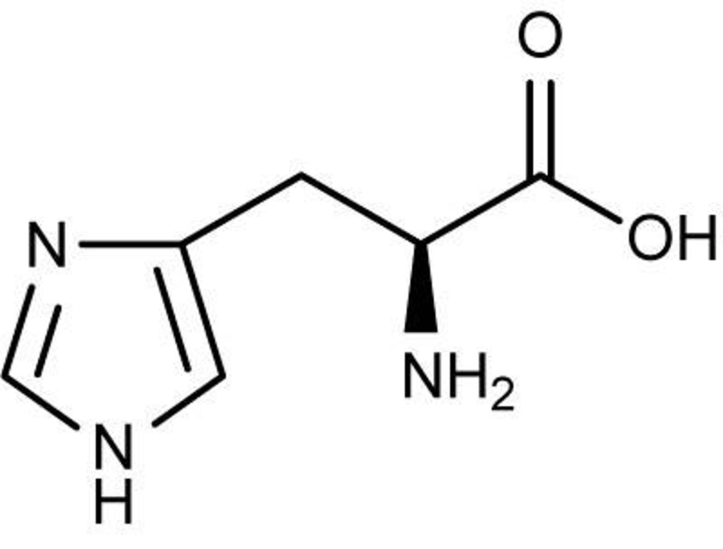 <p>(His, H) basic, positively charged</p>