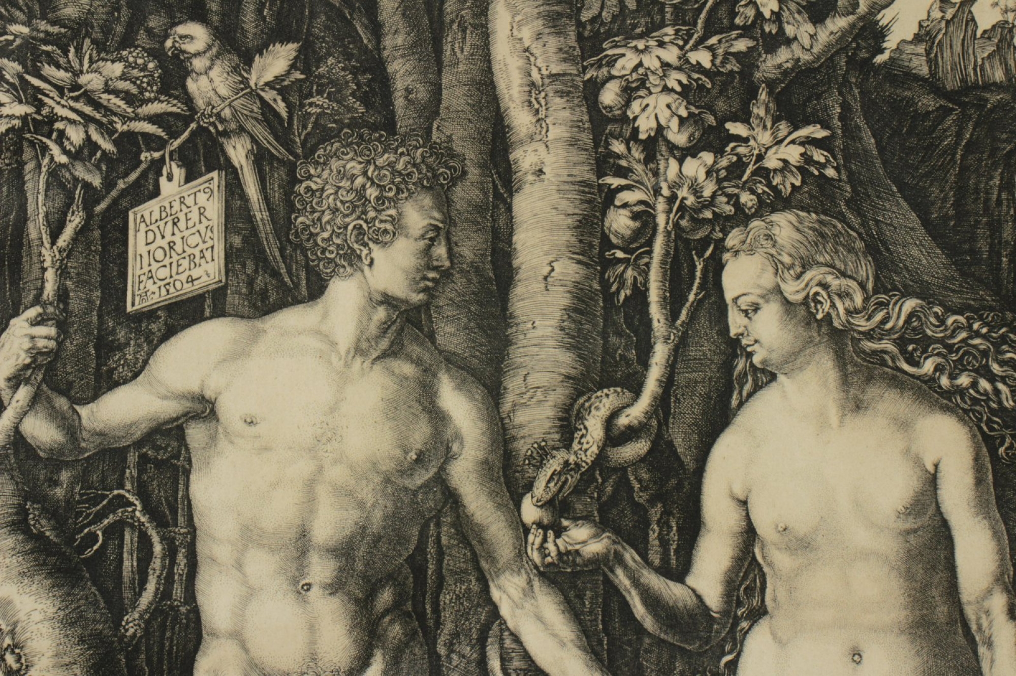 <p>Adam and Eve</p>