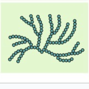 <p>comes from plants, form of starch, a-beta glucose, branches</p><p>function: a<span style="font-family: Google Sans, Roboto, arial, sans-serif">mylopectin has as its main function to </span><strong>store glucose for later use as an energy source</strong></p>