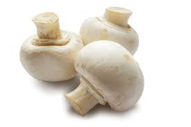 <p>Mushroom, white</p>