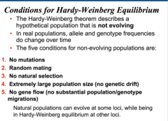 everything is balanced. from one generation to the next, alleles remain constant and common within the population