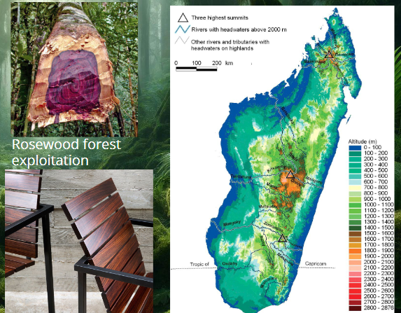 <p>Development index: </p><ul><li><p>Country rank 142 of 176</p></li><li><p>Severe deforestation</p></li><li><p>High amphibian endemism and species richness </p></li><li><p>Where do which species occur?</p><ul><li><p>Microendemism</p></li></ul></li><li><p>Which areas to conserve?</p></li></ul><p></p>