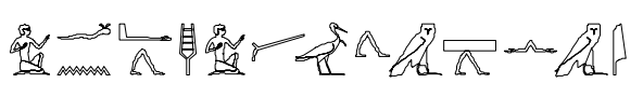term image