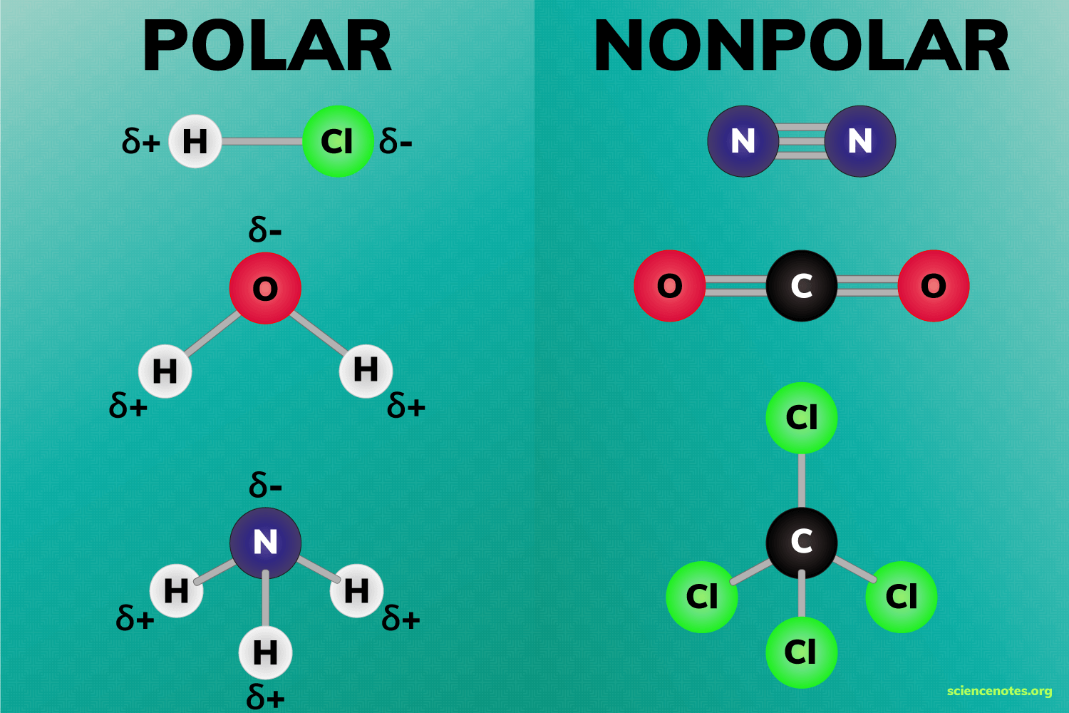 A molecule that has a clear division of opposite electrical charges. One side has (a) negative charge(s) and the other side (a) positive charge(s).