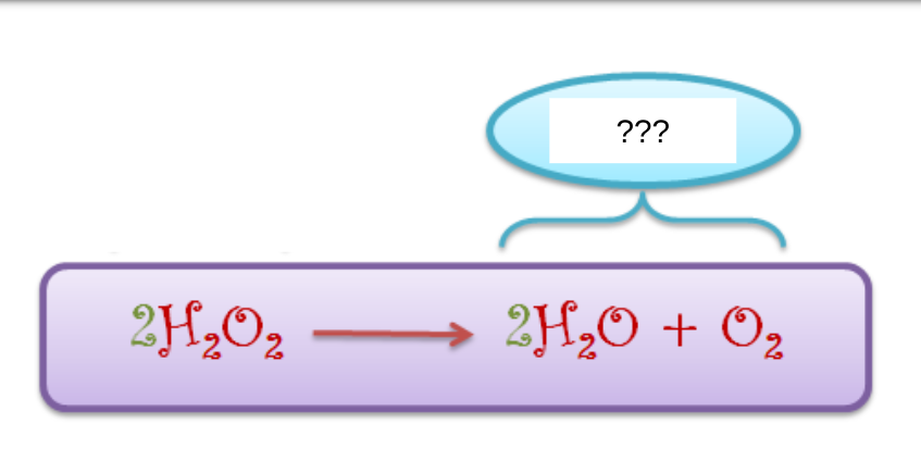 <p>what is produced from a chemical reaction</p>