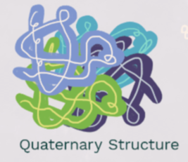 <p>quaternary structure</p>