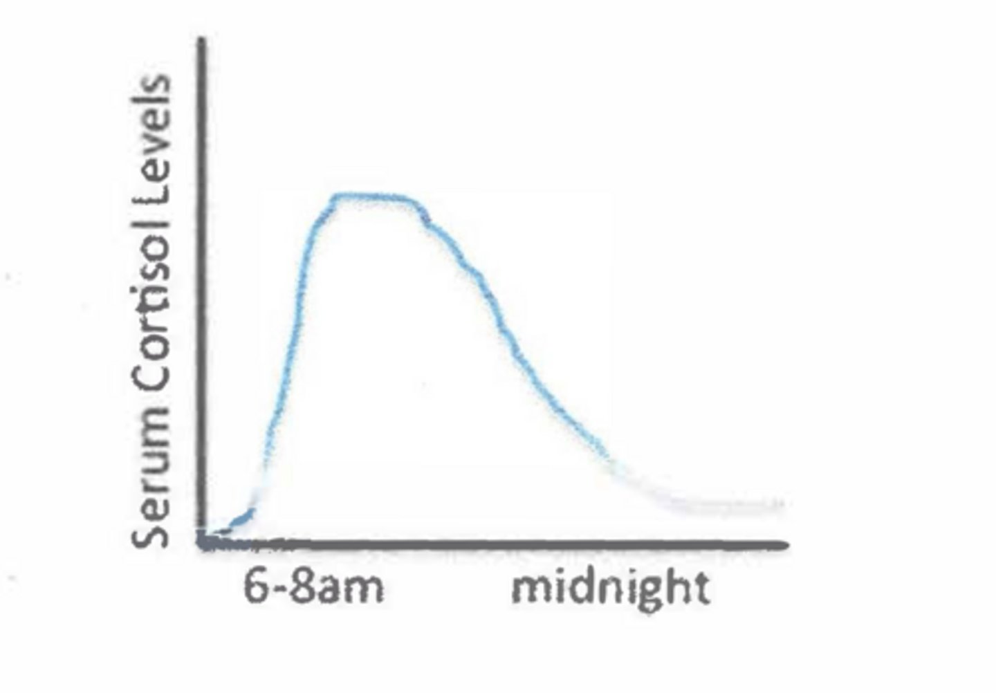 <p>Note that serum cortisol levels peak in the ___ and trough at night. Exercise, coffee, staying up late, etc can increase levels</p>