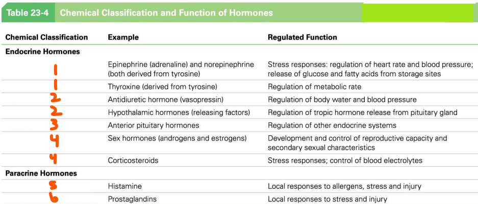 <p>EX of Hormones:</p><ol><li><p>___ </p></li><li><p>___ </p></li><li><p>___ </p></li><li><p>___ </p></li><li><p>___ </p></li><li><p>___ ___</p></li></ol><p></p>