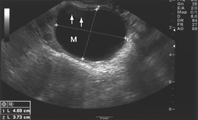 This image displays a