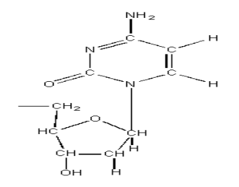 <p>4. Complementary base pairing </p>