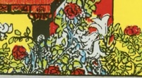 <p>Rose </p>