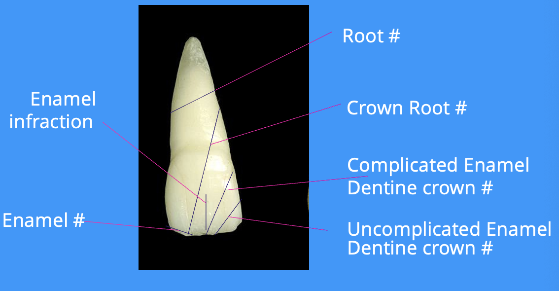 knowt flashcard image