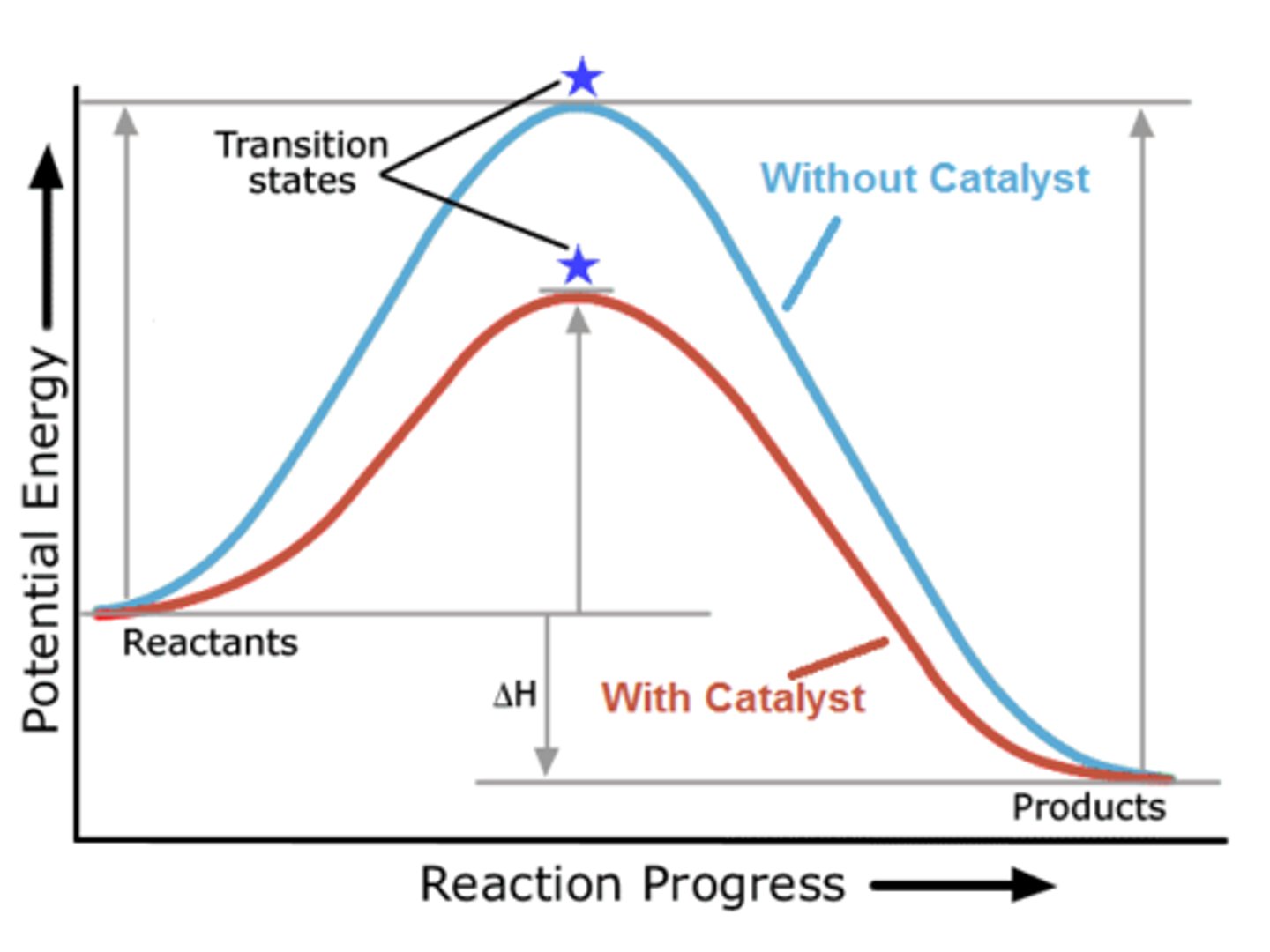 <p>(A) Ea</p><p>The Activation Energy is decreased by stabilizing and decreasing the energy of the Transition State.</p>