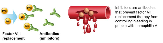 <ul><li><p>Autoantibody (usually IgG) directed against Factor VIII</p></li><li><p>Neutralizes infused or endogenous FVIII</p></li><li><p>Can occur in:</p><ul><li><p><strong>Hemophilia A patients</strong> (treatment complication)</p></li><li><p><strong>Non-hemophiliacs</strong> ("Acquired hemophilia") due to autoimmune disorders, postpartum state, malignancy, or drugs</p></li></ul></li></ul><p></p>