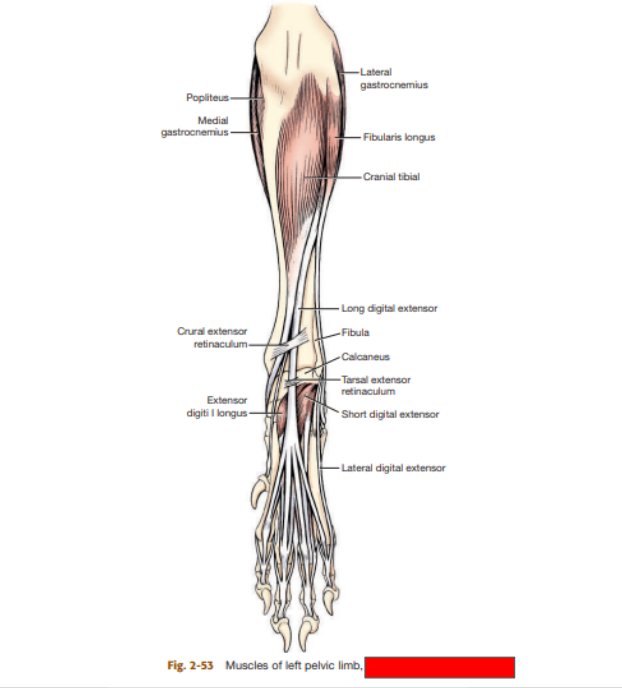 <p>What view is this? </p>