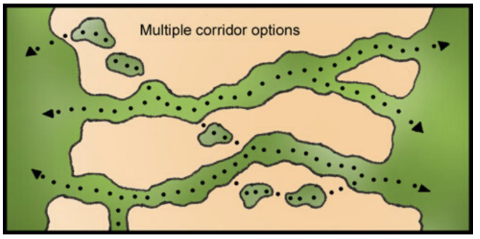 connecting PAs into networks