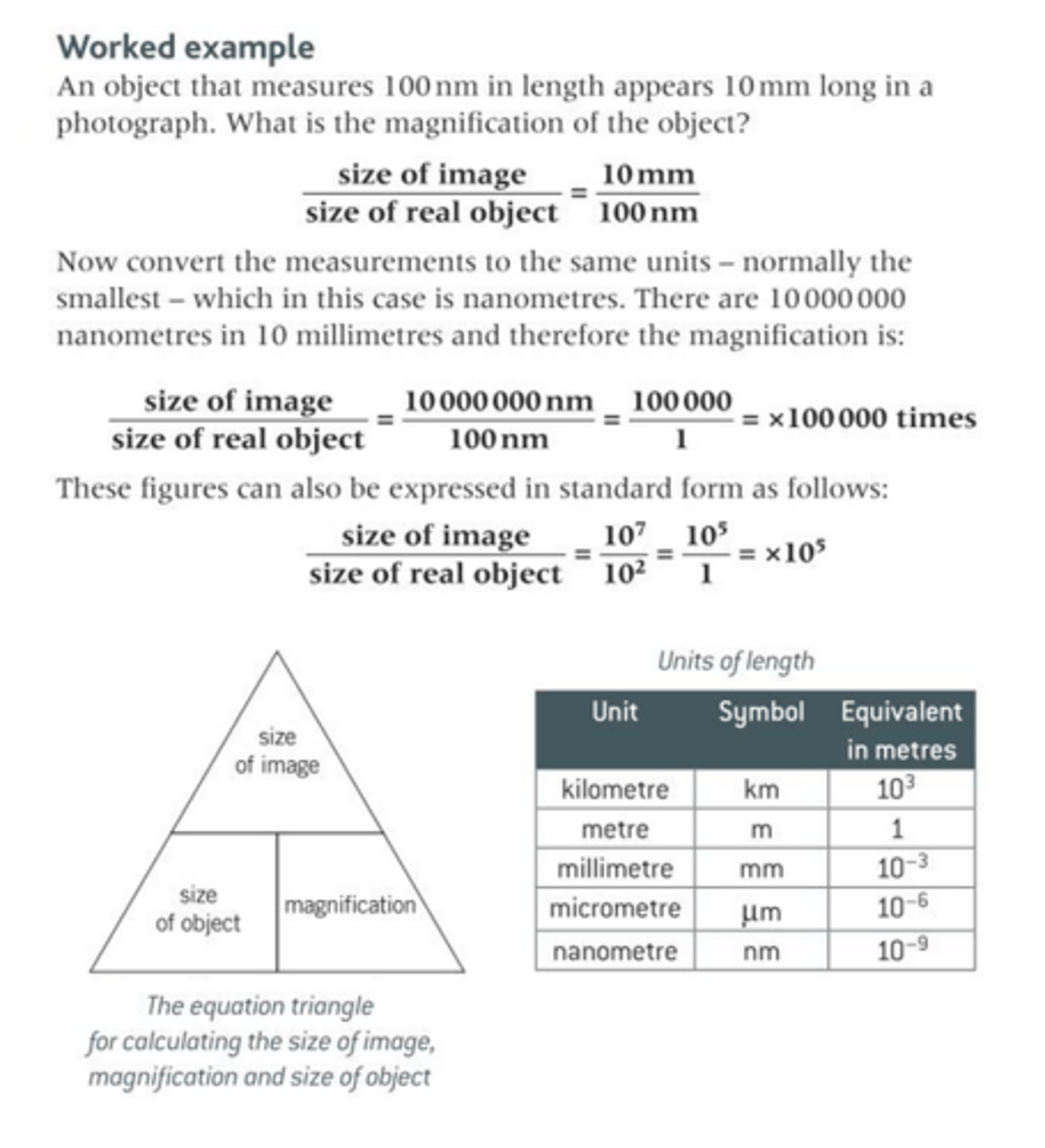 <p>- The material that is put under a microscope is referred to as the object.</p><p>- The appearance of this material when viewed under the microscope is referred to as the image.</p><p>- The magnicfication of an object is how many times bigger the image is when compared to the object.</p><p>- The important thing to remember when calculating the magnification is to ensure that the units of length are the same for both the object and the image.</p><p>- <span class="bgY">Magnification = Size of Image ÷ Size of Real Object</span></p>