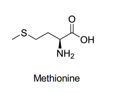 <p>Methionine </p>