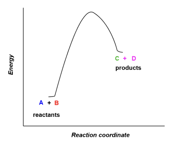 <p>endothermic</p>