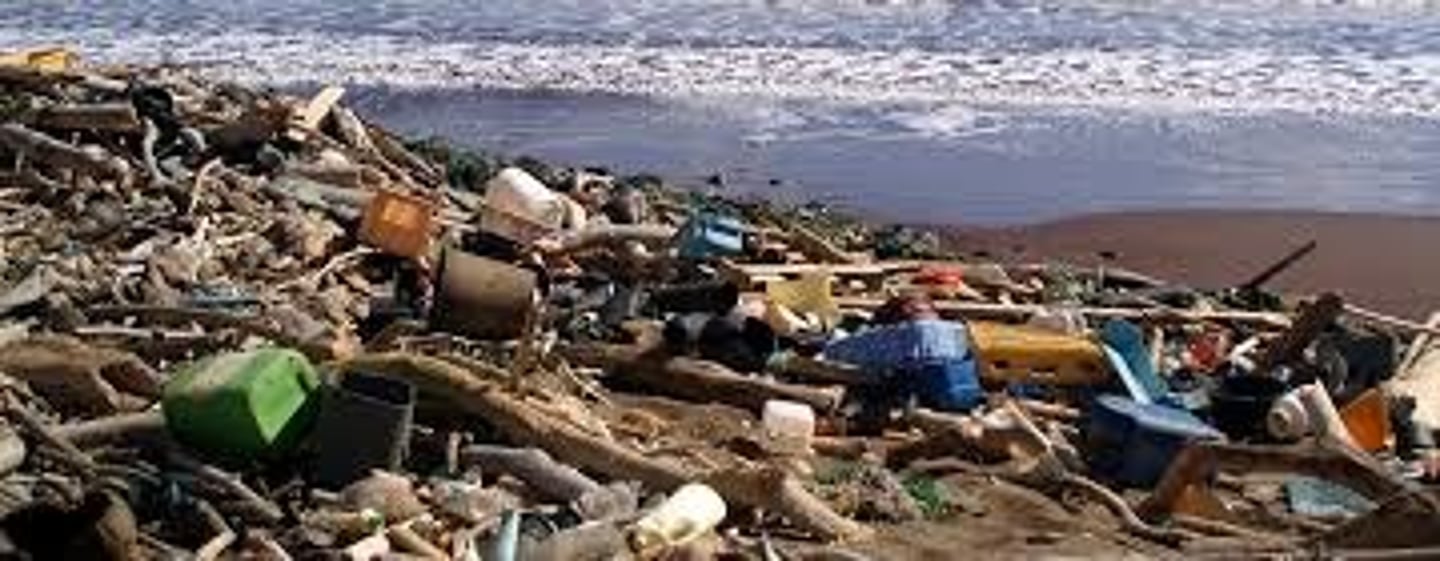 <p>? (flotsam and jetsam, shipwrecks, human wreck)</p>