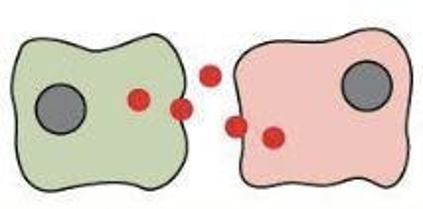 <p>The regulation of gene expression in response to fluctuations in cell-population density.</p>