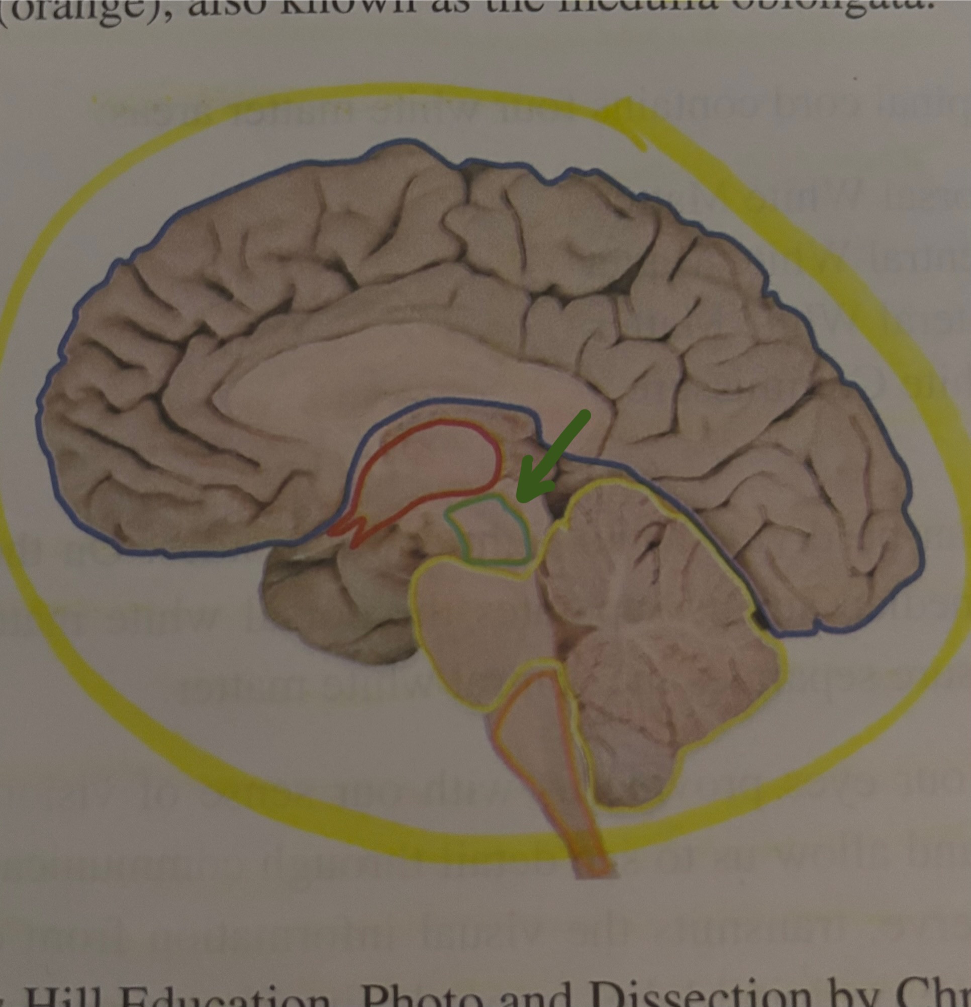 <p>What region is this?</p>