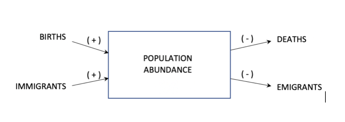 <p>Abundance change = # births − # deaths + # immigrants − # emigrants</p>