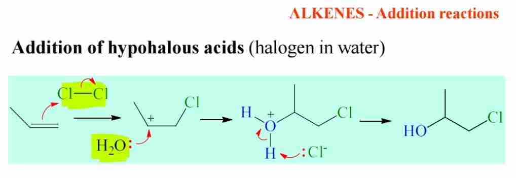 <ol><li><p>C=C attack Cl form carbocation &amp; other Cl form radical </p></li><li><p>water attack carbocation </p></li><li><p>Cl radical attack H of H2O and the bond attack O+</p></li><li><p>H2O+ form OH</p></li></ol>