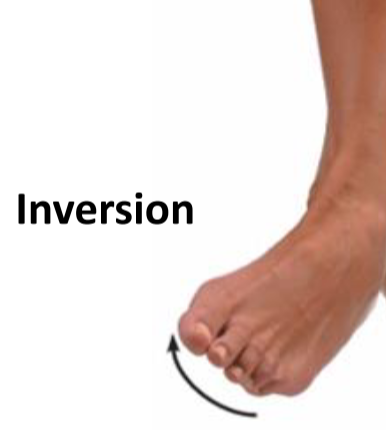<p>Inversion</p>