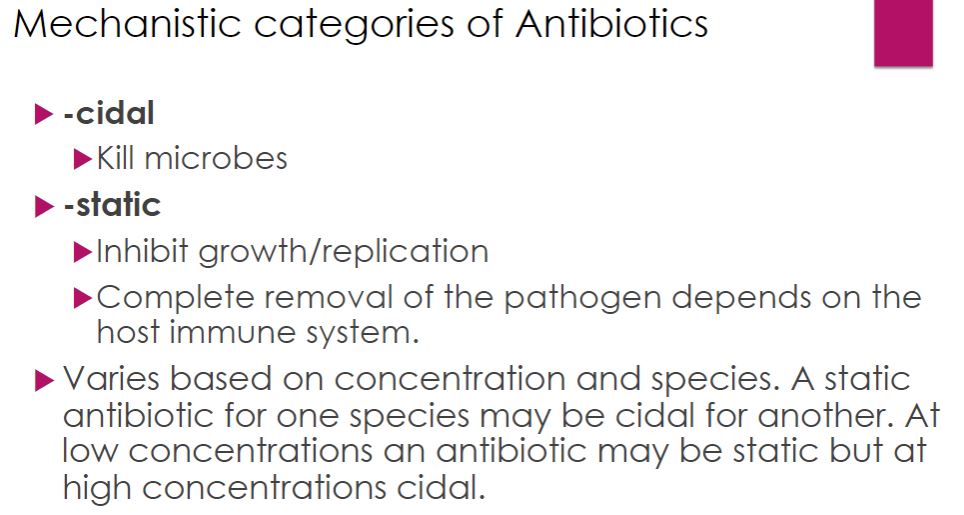 <p>Mechanistic categories of antibiotics</p>