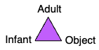 <p><strong>Language Acquisition</strong></p><ul><li><p class=""><strong>Joint attention</strong> between <strong>adult, infant, and object </strong>facilitates <strong>language learning</strong></p><p class=""></p></li></ul><p class=""><strong>Language Processing</strong></p><ul><li><p class=""><strong>Selective mechanism</strong>:</p><ul><li><p class="">Drives <strong>goal-directed processing</strong></p></li><li><p class="">Helps <strong>filter out distractors</strong></p></li></ul></li></ul><p></p>