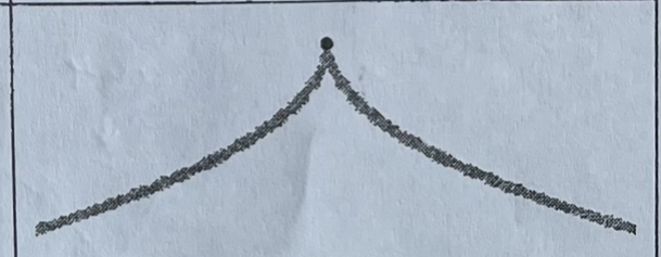 Cusp (a local maximum with undefined tangent)
