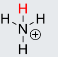 <p>NH4+</p>