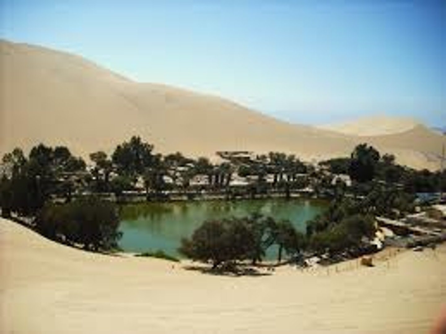 <p>A fertile place in a desert where there is water and vegetation</p>