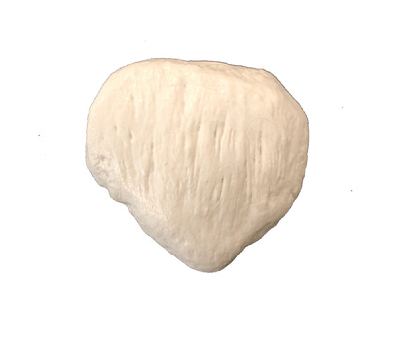 <p>Identify this bone.</p>