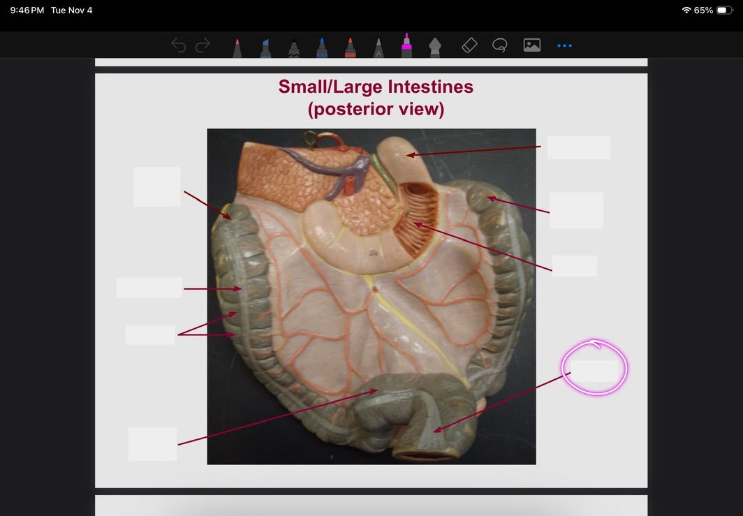 <p>What is this?</p>