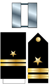 <p>two silver bars</p>