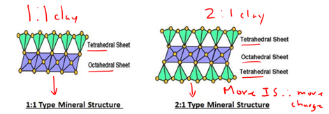 <p>Based on clay type and the amount of isomorphic substitution we get more or less negative charge on surface.</p>