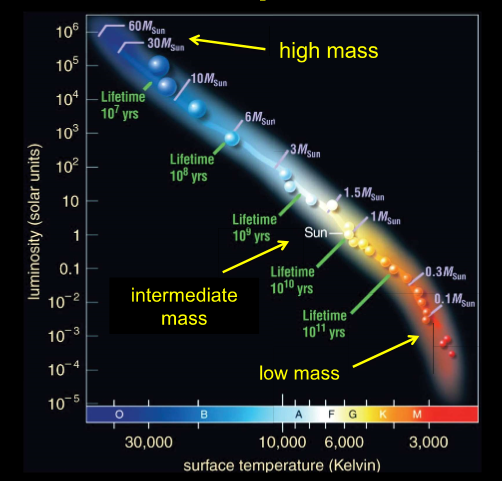 * High mass stars spend a short time on the main sequence and low mass stars spend a long time on the main sequence - depends on the amount of hydrogen they burn per second 
* Higher mass stars have a shorter lifetime because they are hotter and crush their cores faster thus, burning up more of the Hydrogen in their cores quicker than lower mass  
* Red giants have the same mass as main sequence stars as they are the same stars but just at later stages in their lifetime. Main sequence stars expand into a larger lower density red giant star with time.   
