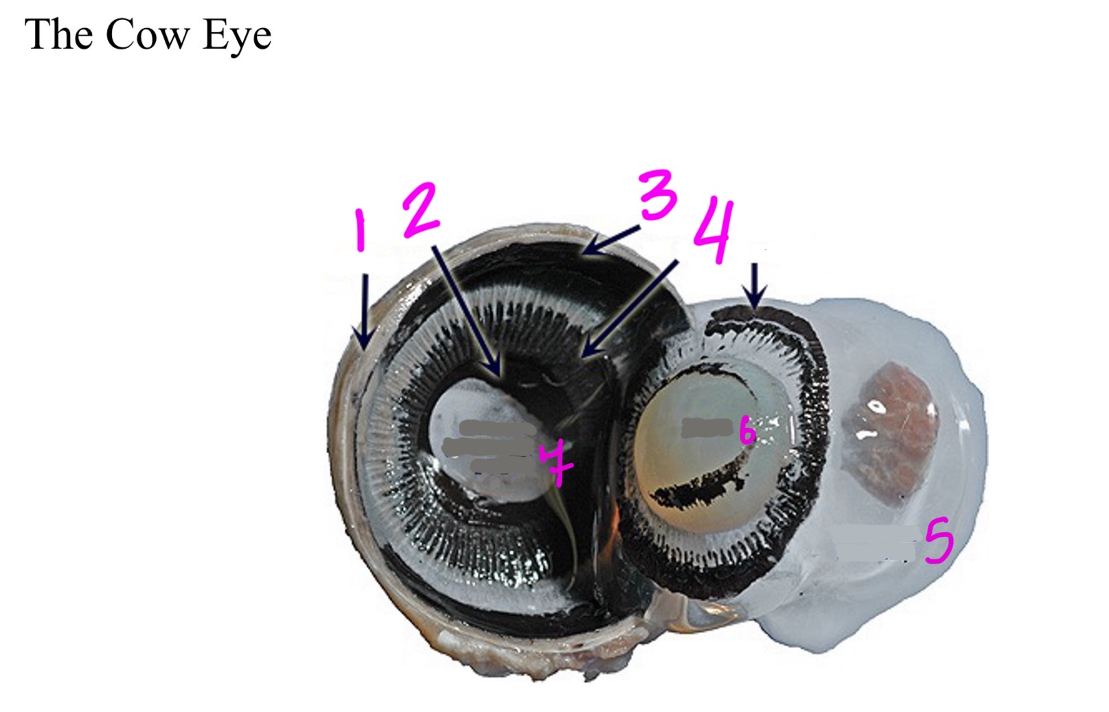 <ol><li><p></p></li><li><p></p></li><li><p></p></li><li><p></p></li><li><p></p></li><li><p></p></li><li><p></p></li></ol>