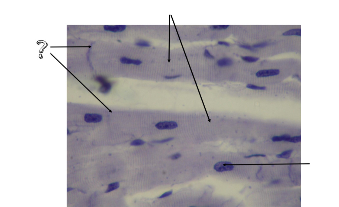 <p>?</p>