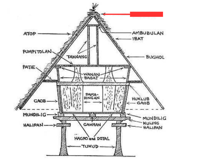 term image