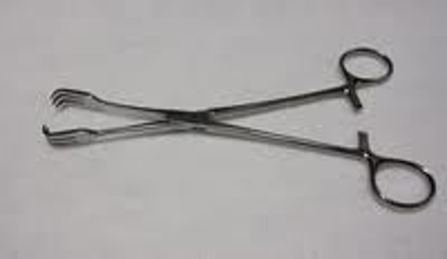 <p>Forceps with inward-curving toothed blades and a ratcheted handle. Designed for grasping facia, tendons.</p>