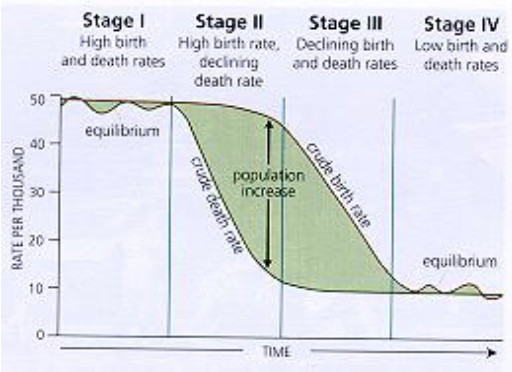 <p>when the birth rate and death rate are the most different</p>